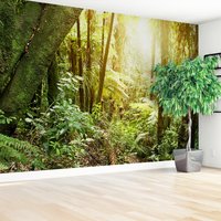 Fototapeta - las, drzewa, natura