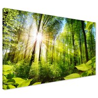 Obraz na płótnie - las, słońce, natura