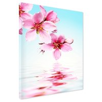 Obraz na płótnie - kwiaty, odbicie, woda