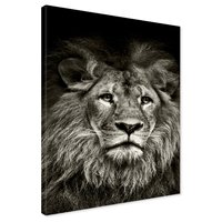 Obraz na płótnie - Lew, Portret, Drapieżnik