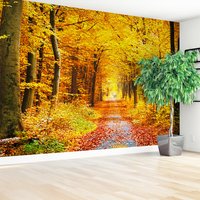 Fototapeta - jesień, las, liście