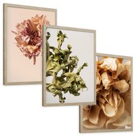 Zestaw obrazy w ramie, plakaty - kwiaty, suche, więdnięcie - rama drewno