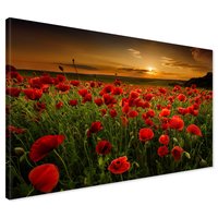 Obraz na płótnie - maki, pole, zachód słońca