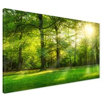 Obraz na płótnie - las, drzewa, natura